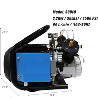 4500psi/300 Bar High Pressure Air Compressor 110V / 60Hz